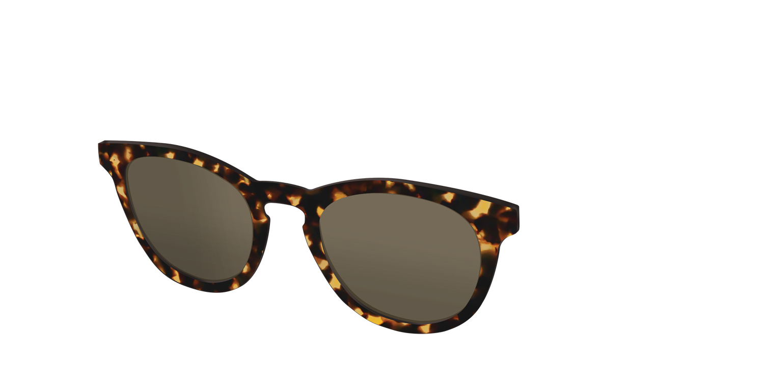 The Non-Polarized Tortoise Sun Top - Angle Top Image - Pair Eyewear