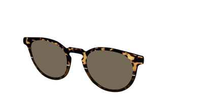 The Polarized Chic Tortoise Split Sun Top - Angle Top Thumbnail - Pair Eyewear