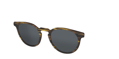 The Polarized Horn Sun Top - Angle Top Thumbnail - Pair Eyewear