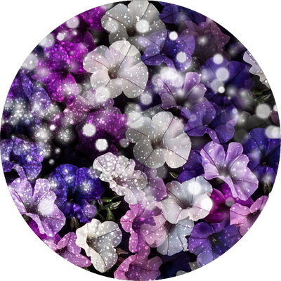 The Magic Elements