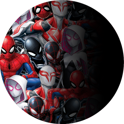 Team Spidey