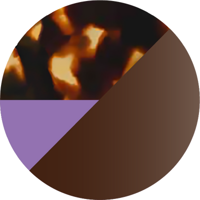 The Polarized Abalone Sun Top