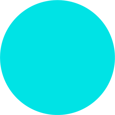 The Indigo