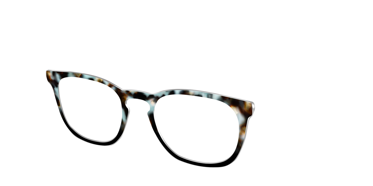 The Academic Tortoise - Angle Top Image - Pair Eyewear