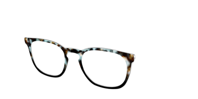 The Academic Tortoise - Angle Top Thumbnail - Pair Eyewear