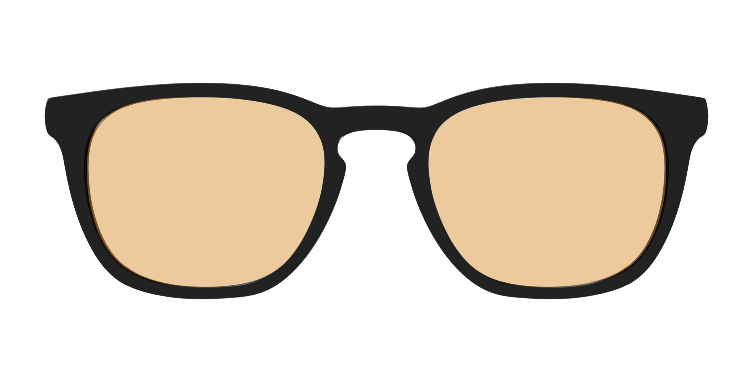 The Black With Umber Brown Lens - Front Top Image - Pair Eyewear