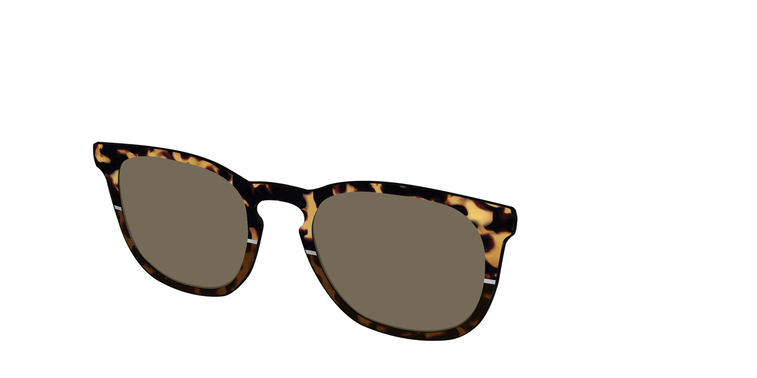 The Polarized Chic Tortoise Split Sun Top - Angle Top Image - Pair Eyewear