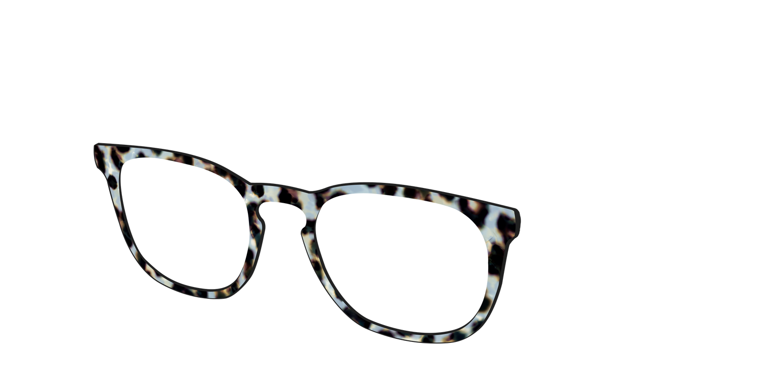 The Earl Grey Tortoise - Angle Top Image - Pair Eyewear
