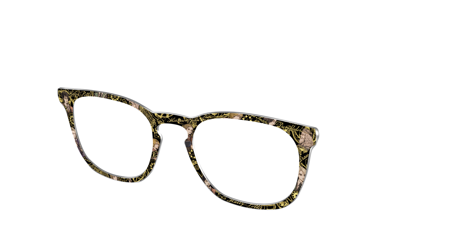 The Harry Potter Toile - Angle Top Image - Pair Eyewear