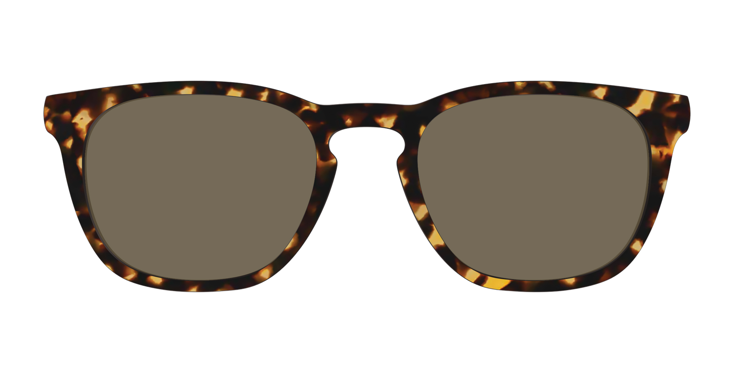 The Non-Polarized Tortoise Sun Top - Front Top Image - Pair Eyewear