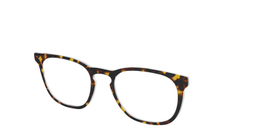 The Tortoise - Angle Top Thumbnail - Pair Eyewear