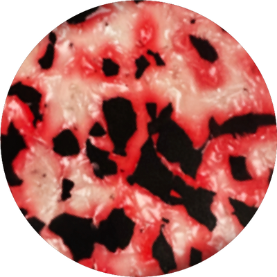 The Ruby Pin Dot