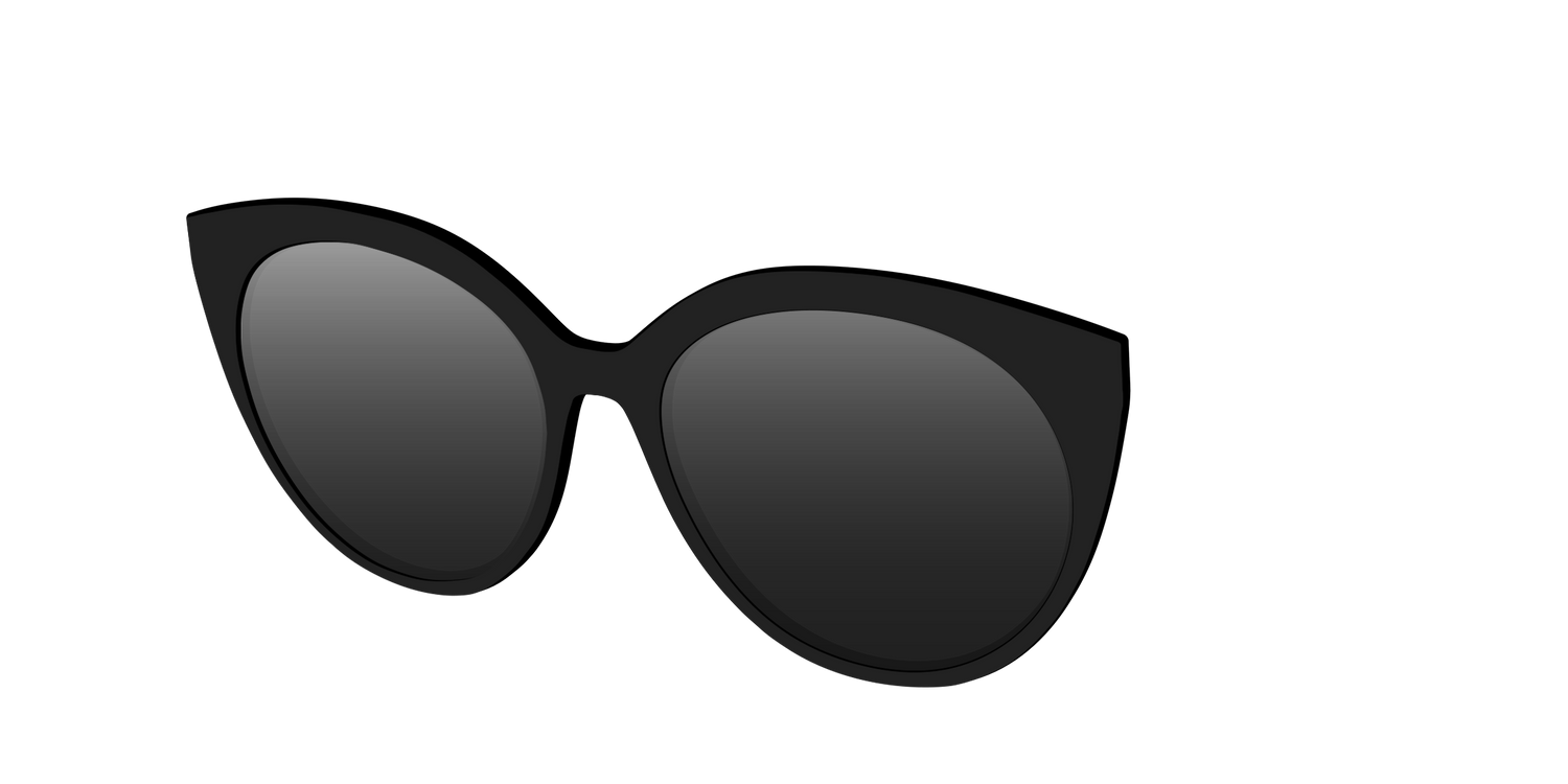 The Polarized Black Sun Top - Angle Top Image - Pair Eyewear