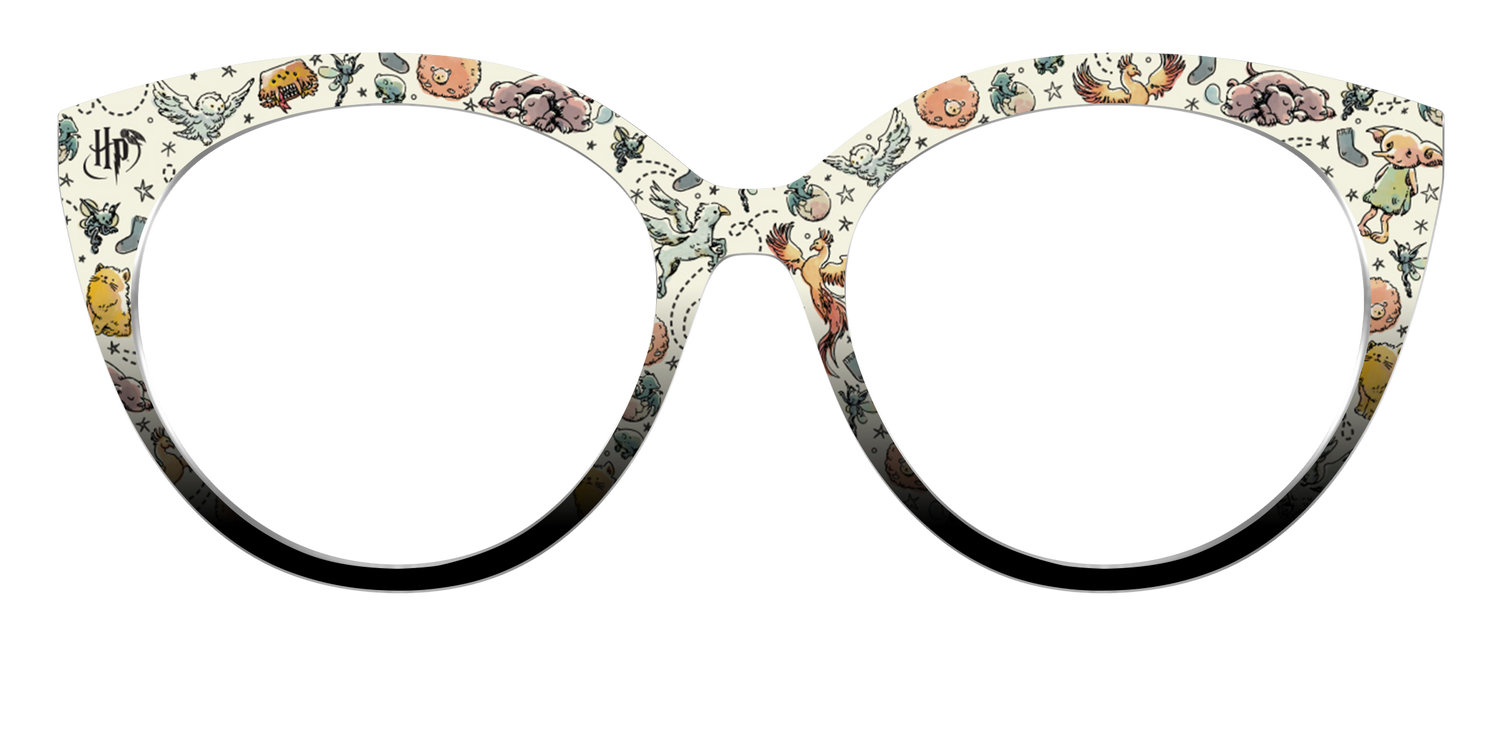 The Dobby & Friends - Front Top Image - Pair Eyewear