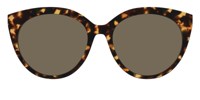 The Non-Polarized Tortoise Sun Top - Front Top Thumbnail - Pair Eyewear