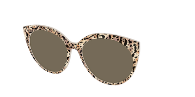 The Polarized Wild Cat Sun Top - Angle Top Thumbnail - Pair Eyewear