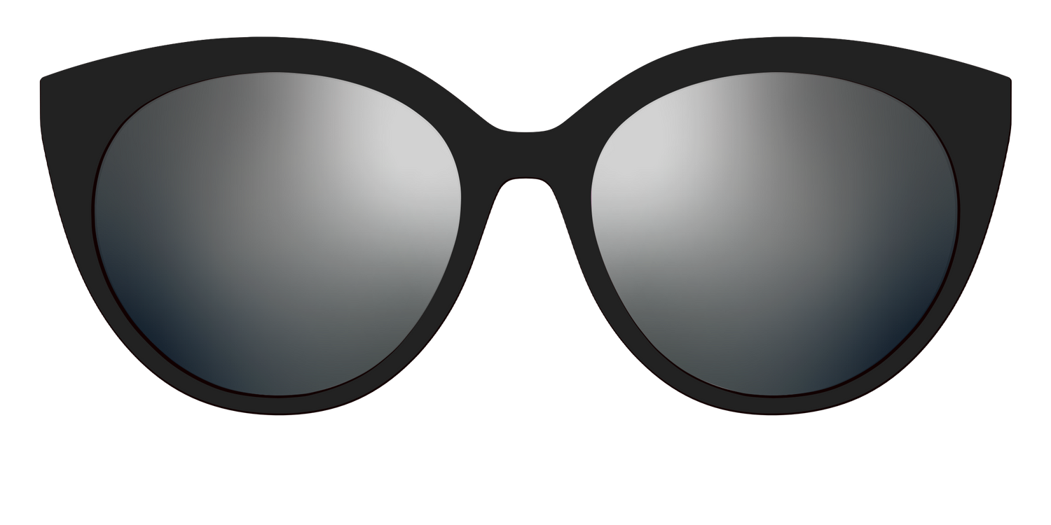 The Polarized Silver Reflective Sun Top - Front Top Image - Pair Eyewear