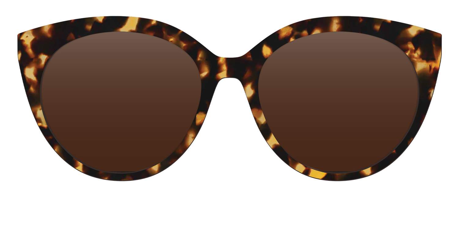 The Polarized Tortoise Sun Top - Front Top Image - Pair Eyewear
