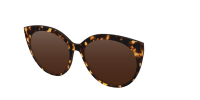 The Polarized Tortoise Sun Top - Angle Top Thumbnail - Pair Eyewear