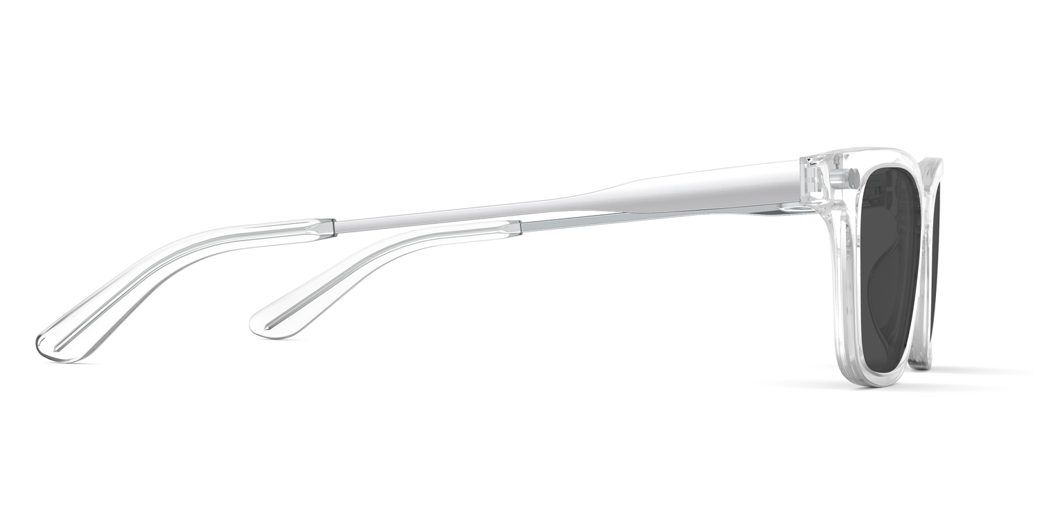 The Larkin - Mixed Material - Lensless - Carousel 5 - Pair Eyewear