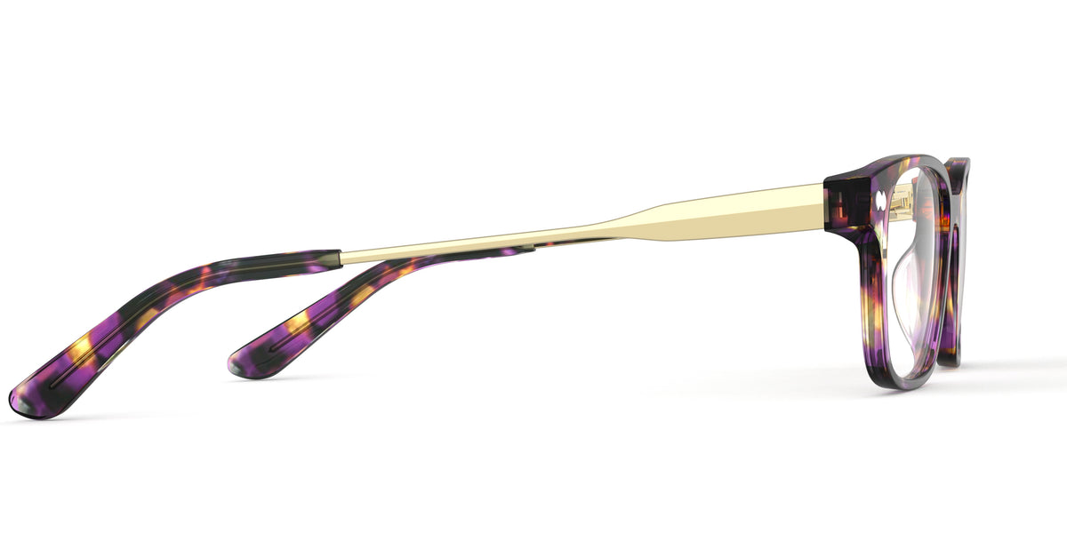 The Finley - Carousel 3 - Pair Eyewear