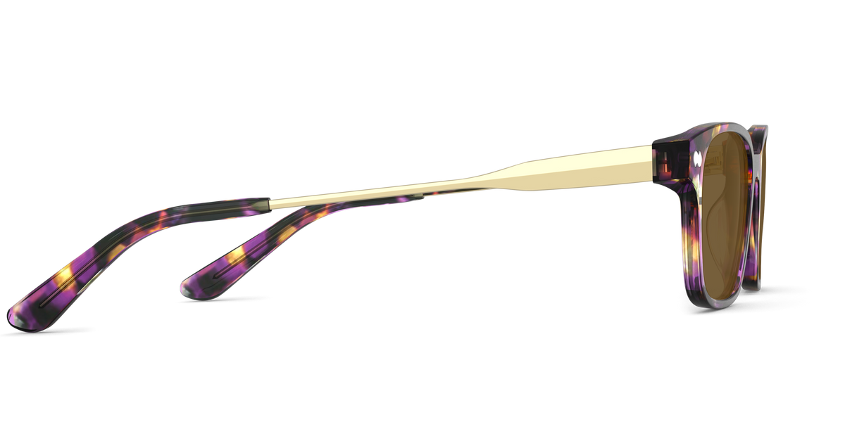 The Finley - Carousel 6 - Pair Eyewear