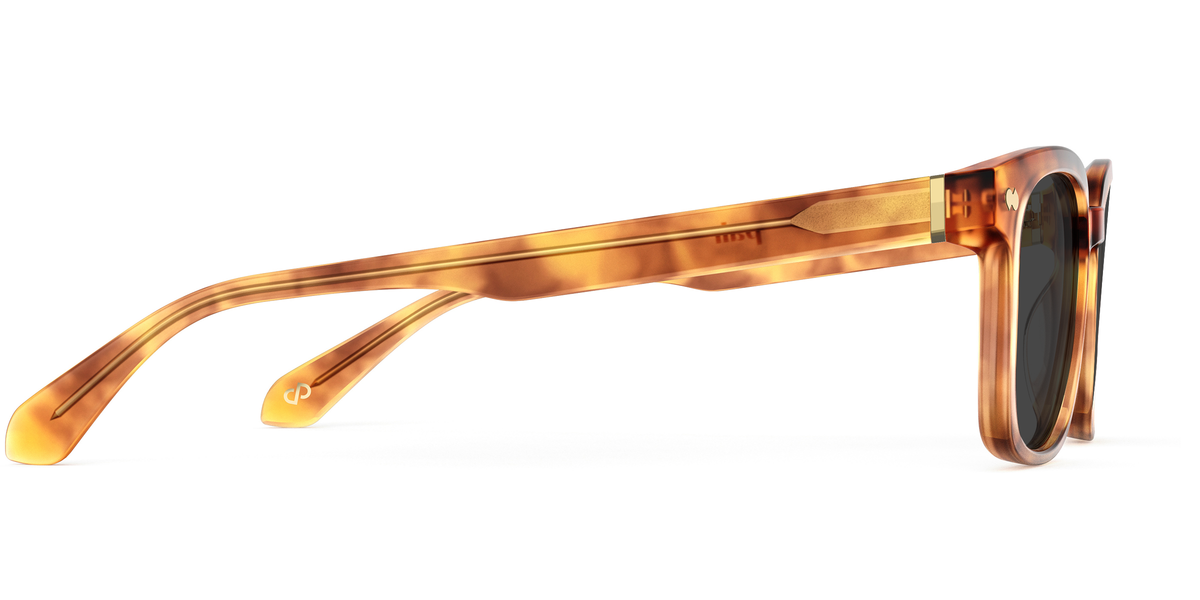 The Iverson - Carousel 5 - Pair Eyewear