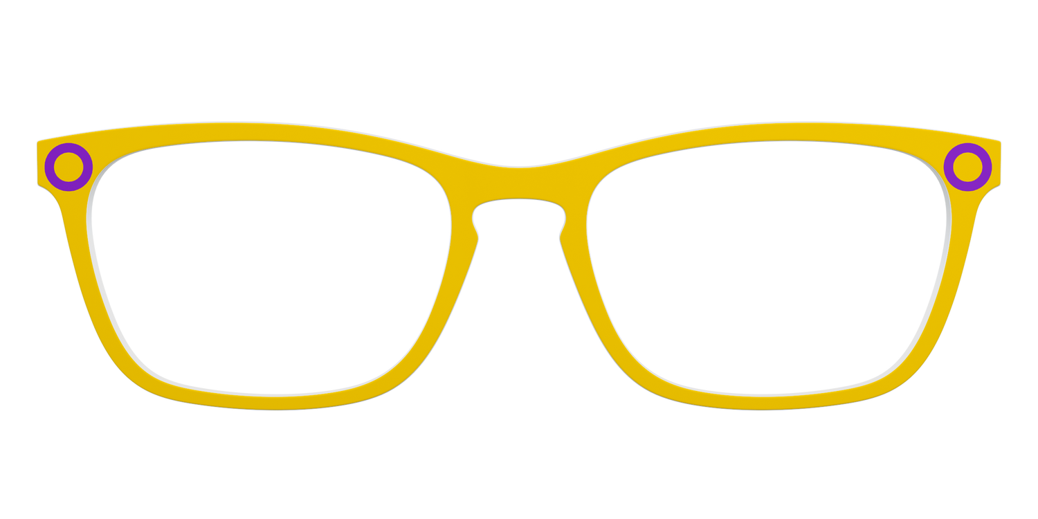 The Intersex Flag - Front Top Image - Pair Eyewear
