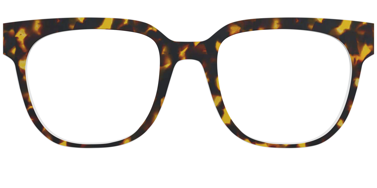 The Tortoise - Front Top Image - Pair Eyewear