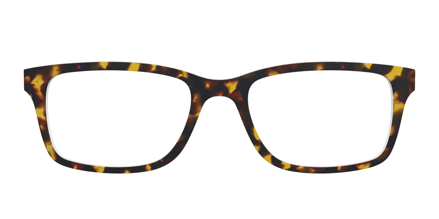 The Tortoise - Front Top Image - Pair Eyewear