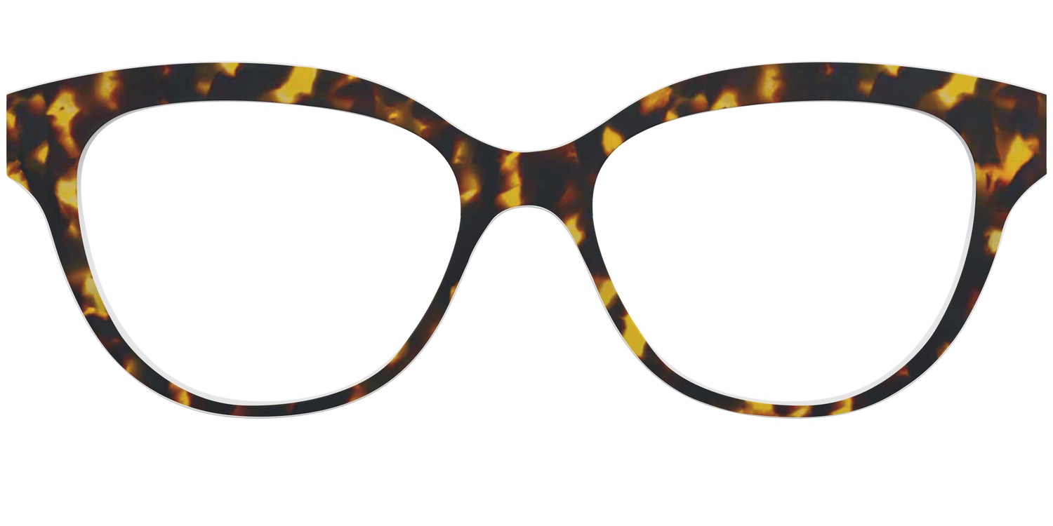 The Tortoise - Front Top Image - Pair Eyewear